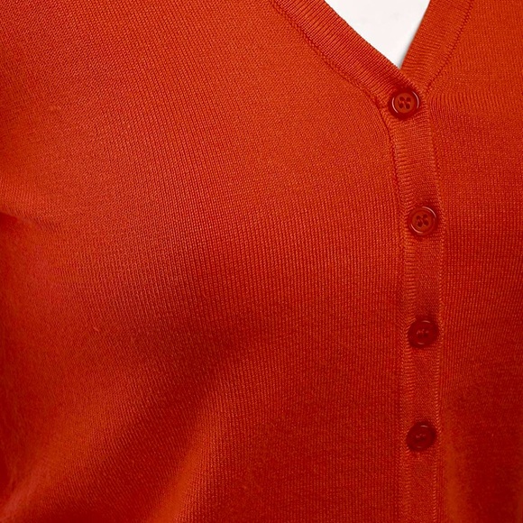 Rust Colored Cardigan with Button Accents - Picture 3 of 7